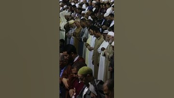 القارئ يوسف الصافي 👳