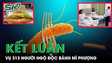 Kiến Nghị Xử Lý Vi Phạm Vụ 313 Người Ngộ Độc Bánh Mì Phượng | SKĐS