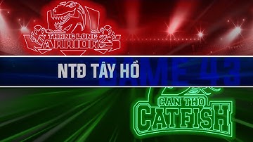 Highlights VBA 2019 || Game 43: Thang Long Warriors vs Cantho Catfish | 15.08