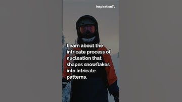 The Intriguing World of Snowflakes