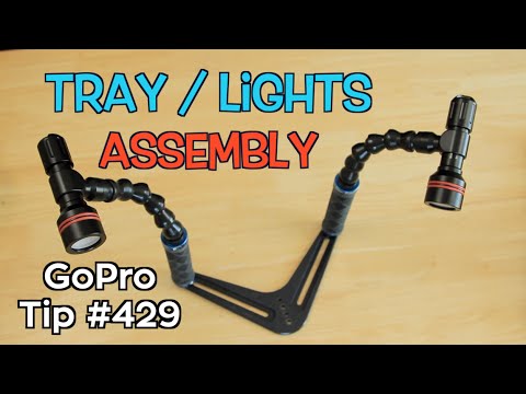 srp-dive-tray-/-24mm-torch-mounts-/-arms-/-lights-assembly---gopro-tip-#429-|-micbergsma