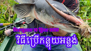 Fun Fishing for Snakehead Fish