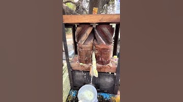 Traditional tools for squeezing sugar cane #shorts