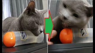 アゴ置きにしてるモノいじったらキレられた