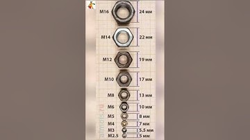 nut and size with mm