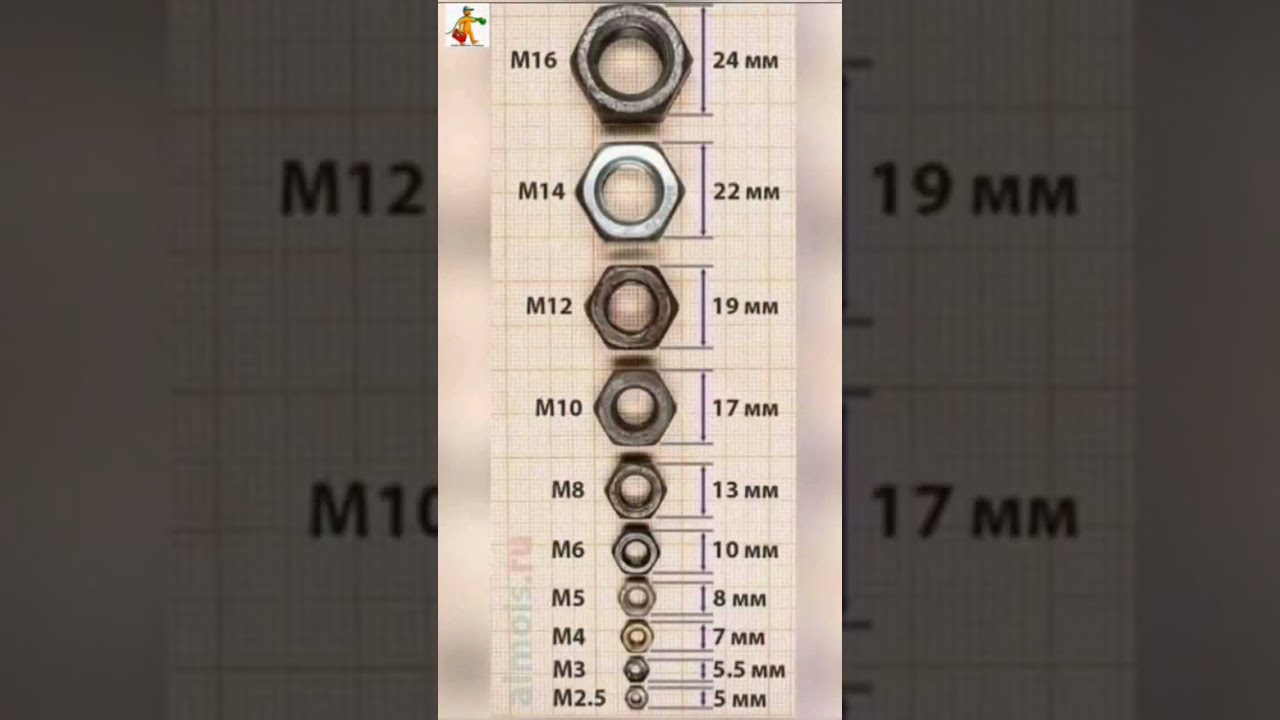 Nut And Size With Mm
