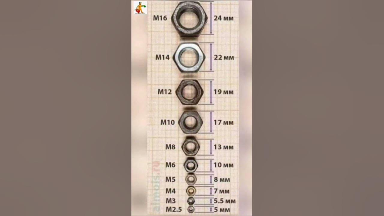 nut and size with mm