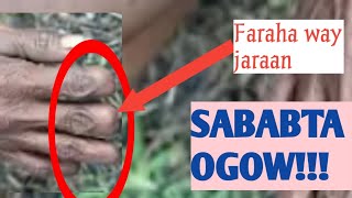 Layaabka Dunida 01-Qabiilka Dani Caruuska Waxa Laga Gooyaa Far, Sabab.