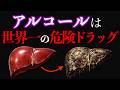 【年間◯亡者数260万人】アルコールは世界一凶悪なドラッグ？肝臓が壊れると脳が萎縮する科学的な仕組み