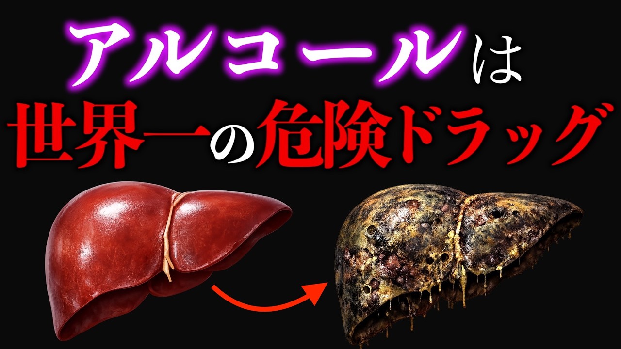 【年間◯亡者数260万人】アルコールは世界一凶悪なドラッグ？肝臓が壊れると脳が萎縮する科学的な仕組み