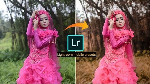 Teal and Orange lightroom mobile color grading tutorial - Bhishma Hiwarkar