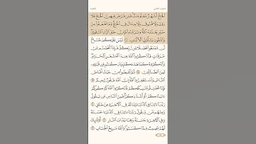 سورة البقرة الاية 197