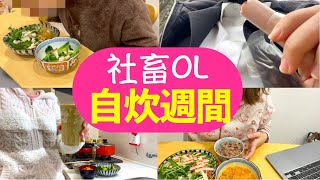 【平日自炊vlog】社畜OLが１週間料理し続けたら珍事件起きた「蒔いた種のとおり、花が咲く」