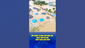 🔔 Bắc Giang: Lũ sông Cầu dâng cao, hàng trăm hộ dân chìm trong biển nước