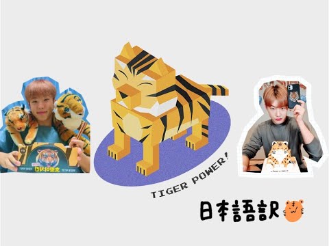 【ホシ/SEVENTEEN】호랑이 power 日本語訳（tiger power)