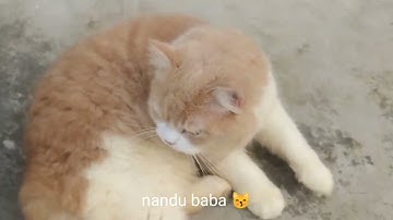 Meri pehli video |youtube #youtube #viral #video #first 