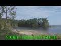 Short overview Sabine National Forest