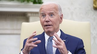 Joe Biden ‘says what the Democrats are thinking’