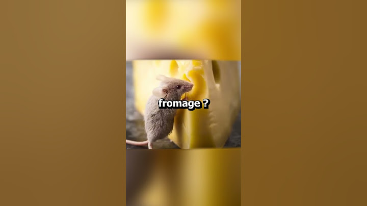 La preuve que votre vie est un mensonge