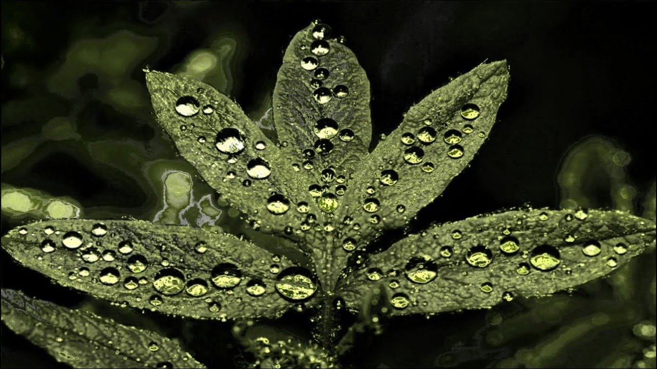 Aura Minimum - Ritual Effect [Visualization]