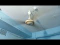 56" Eastern fan