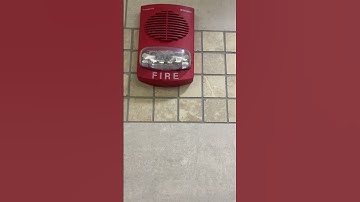 Simplex 4906-9153 speaker strobe