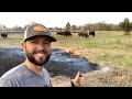 We set our pasture on FIRE...watch how the bison react!