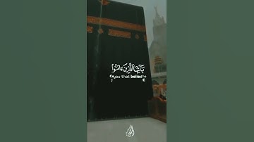 تلاوة تريح القلب❤ #تلاوة #القرآن_الكريم #تلاوات