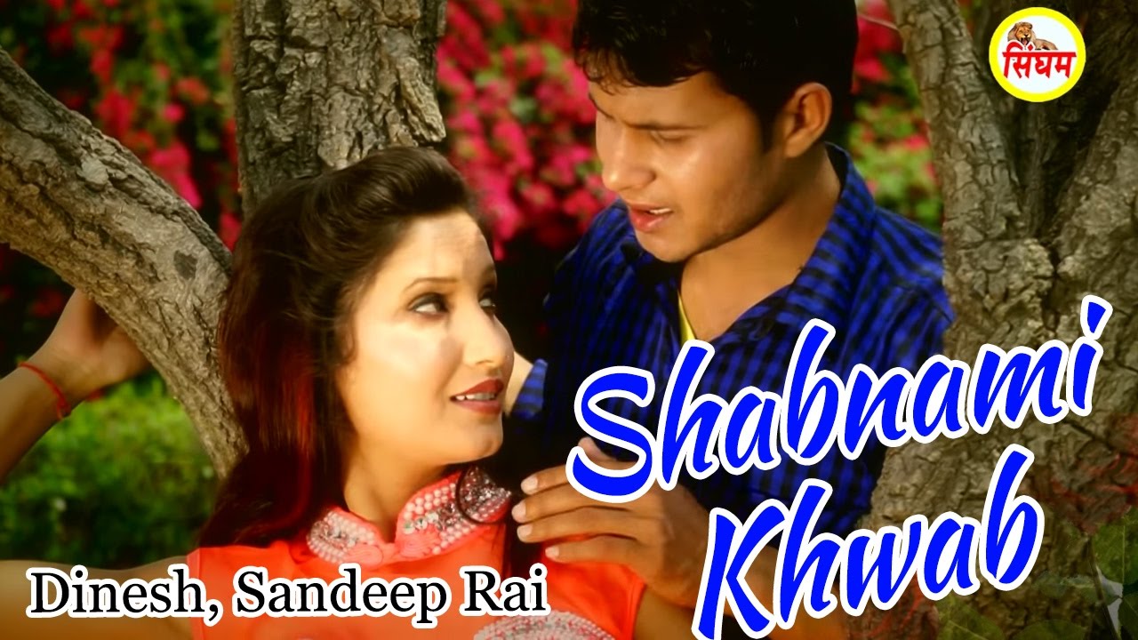 haryanvi songs download haryanavi mp4 Shabnami Khwab | Latest Hindi Song | Mehar Narwal | Singham Hits