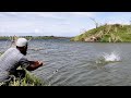 🎣Rohu Fish Catching in Krishna River|🐟Rohu FISHING|Awesome FISHING Video|Unique Fishing|Rohu Fishing
