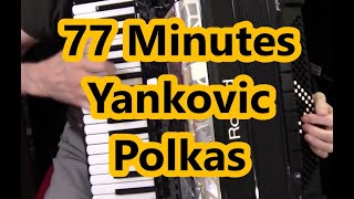 Polkas, 77 Minutes, Dale Mathis Accordion