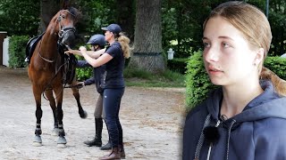 Pferd macht einfach keinen Spaß mehr  Reiten und Umgang nur mit vielen Kompromissen möglich