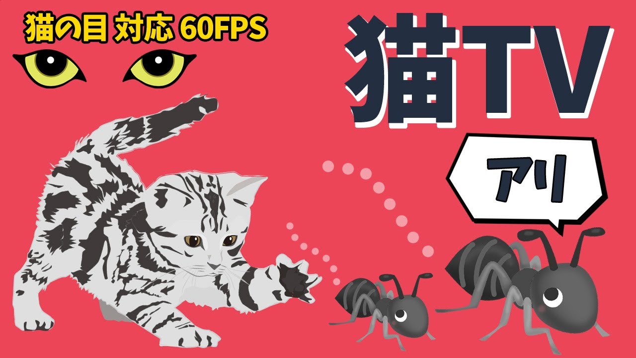 アリを捕まえろ 猫が喜ぶ昆虫映像60分 猫の動体視力に最適な60fps Cats Tv Catching Ants Youtube