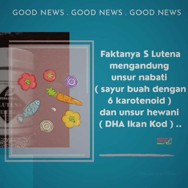 apa slutena itu?