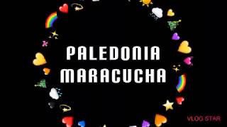 Paledonia Maracucha O Torta De Papelón