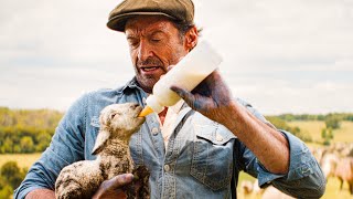 THE SHEEP DETECTIVES Trailer (2026) Hugh Jackman