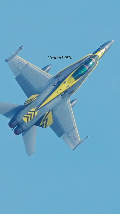 Pikachu hornet Malaysian Air Force #tudm #rmaf #f18 #aviation #military #airforce #aviation #avgeek