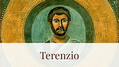 Quali sono le principali caratteristiche dello stile Terenziano?