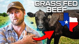 How Grass Fed Beef Is Made In The Heart Of Texas