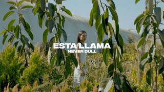 Never Dull - Esta Llama (Spoken Word Visual)