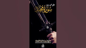 مقطع جميل من  سورة محمد 🎙بصوت فضيلة الشيخ العلامة  يحيى بن علي الحجوري حفظه الله