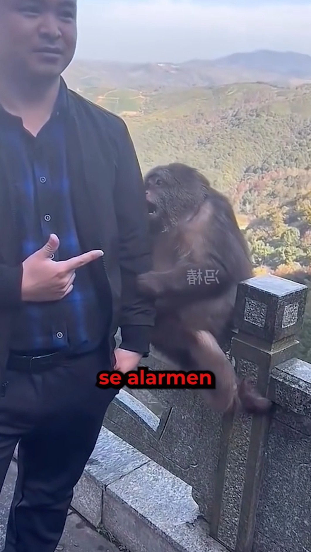 ¡Este hombre humilló al mono más bromista! ?‍♂️?