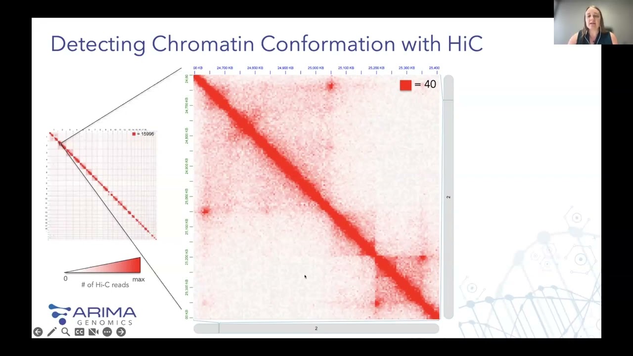 Unveiling the Power of 3D Genomics: Decoding Extreme Structural Heterogeneity in Glioblastoma