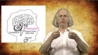 The Importance of the Pineal Gland Including Transmission