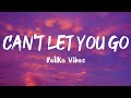 Relike vibes  cant let you go lyrics