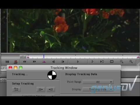 Magic Effect for Avid Media Composer - YouTube