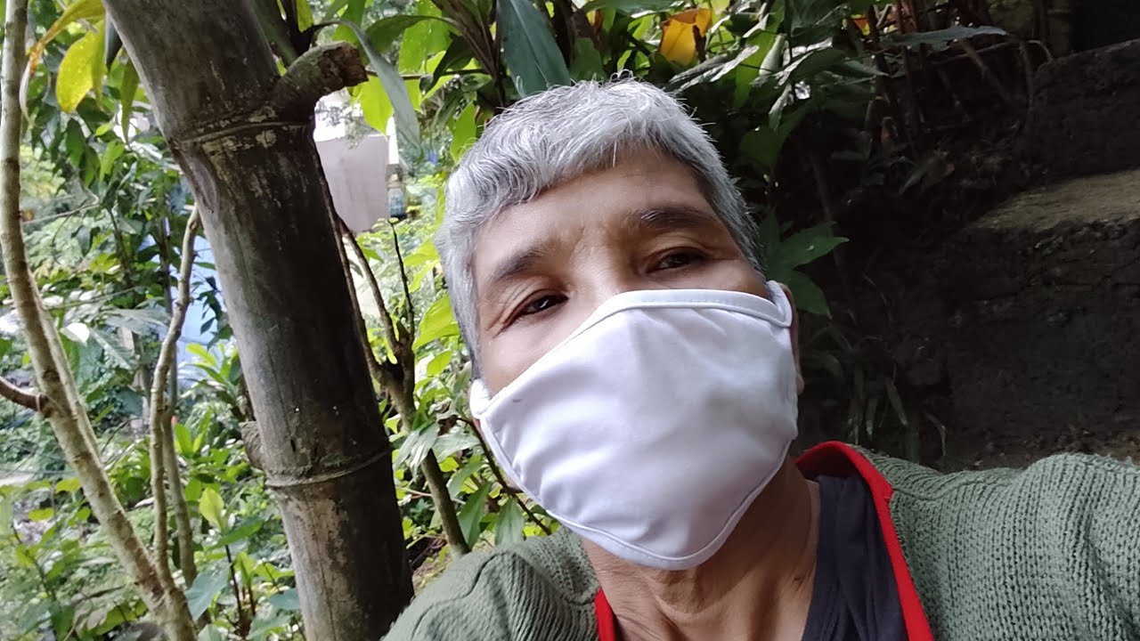 May nakukuha kong unod ng gabe isang puno napotik hugasin ko at may nilagare kong kawayan 