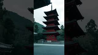 静寂の鐘 🔔✨ 心が洗われる場所 ⛩️ #高千穂神社 #旅行 #龍門の滝 #日本 #anime #景色綺麗