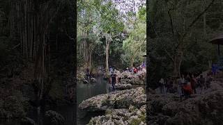 Tilanga Natural Pool#swimming #nature #pool #viralvideo #youtube #shortsfeed #fyp #toraja