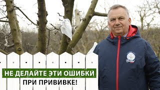 видео: Прививка плодовых деревьев. Как избежать ошибок? картинка: Прививка плодовых деревьев. Как избежать ошибок?